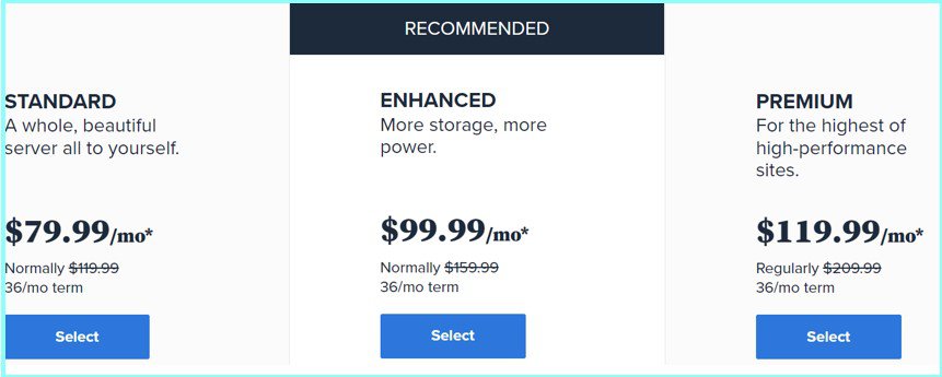 Bluehost Dedicated Hosting pricing