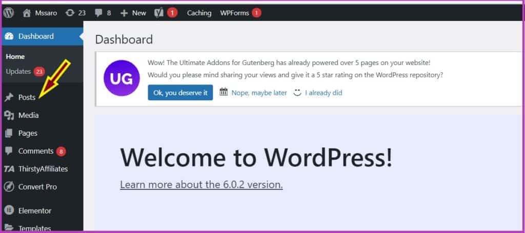 WordPress Interface- How to write your first blog