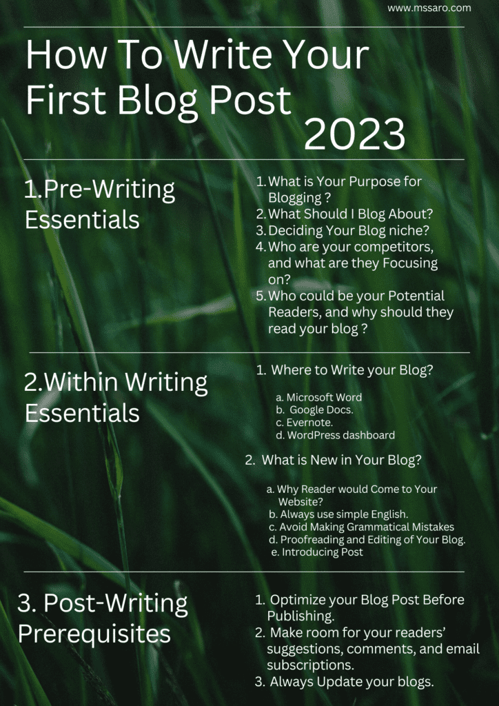 Infographic of How To Write Your First Blog Post in 2023.