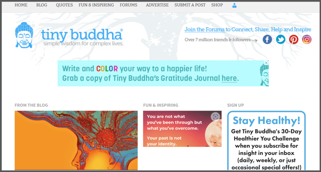 TINY BUDDHA- INSPIRATIONAL BLOG
MOST POPULAR TYPE OF BLOG