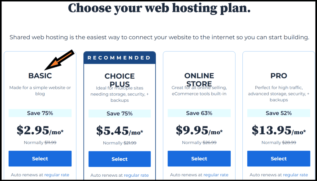 BlueHost Pricing